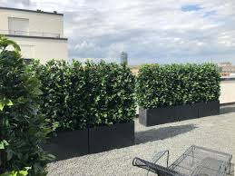 Bella Planta Kunstpflanzen Und Kunstbaume Startseite Kunstpflanzen Gartengestaltung Pflanzen