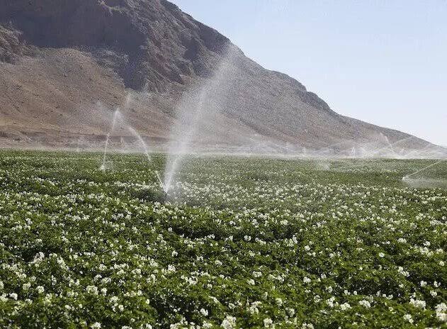 آیا خرید زمین در شمال سرمایه‌گذاری خوبی است؟-3 