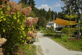 Rechtlicher träger des hauses ist der verein  haus der stille. Haus Der Stille Beet Und Bienenweide Steiermark Sonntagsblatt