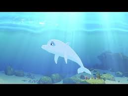 Oum Le Dauphin Blanc Une Croisiere Mouvementee Youtube