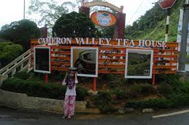Ladang teh boh habu ringlet | cameron highlands. Cameron Valley Wikipedia Bahasa Melayu Ensiklopedia Bebas