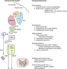 Upper Motor Neuron Veterian Key