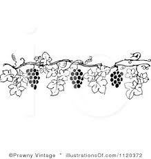 Black And White Vines Clipart Gallery For Wine Grapes Clip Art Lozy Trafarety Kartinki
