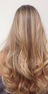Super warm brown with a few bright highlights.highlights this summer, any opinions would be great choice. Found On Bing From Jonathanandgeorgeblog Com In 2020 Honey Blonde Hair Honey Hair Color Hair Styles