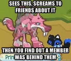 Pin By Sydney Tvd On Animal Jam Animal Jam Memes Animal Jam Animal Jam Play Wild