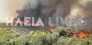 Maybe you would like to learn more about one of these? 0cy1napaahavrm