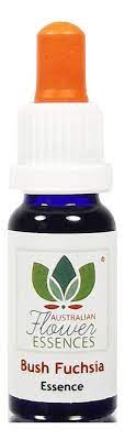 Bush Fuchsia Love Remedies Australian Flower Essences