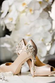 We did not find results for: Nude Badgley Mischka Royal Evening Pumps Wedding Shoes With Crystal Heel Embellishments Snaking Around The Heel To The Back Tampa Wedding Photographer Ailyn La Torre Photography Marry Me Tampa Bay