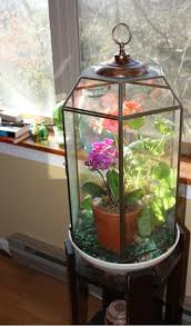 Repurposed Light Fixture Garden Cloche Beautiful Terrariums Orchid Terrarium