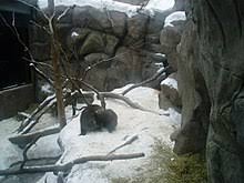 All original tickets will be honored for the new october 29 show date. Minnesota Zoo Wikipedia