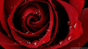 What is a desktop wallpaper? Home Screen Wallpapers Hd Cutewallpaper Org Desktop Background