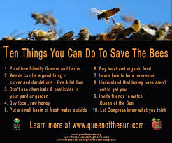 Honey is made up of fructose (40%), glucose (30%), water and minerals such as iron, calcium, potassium and magnesium. Save Bees Twitter Search Bee Keeping Save The Bees Bee