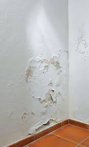 Kellerabdichtung Von Innen Selbst De Waterproofing Basement Home Repairs Western Home Decor
