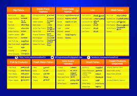 A Useful Brochure That Contains Fish Names In English And