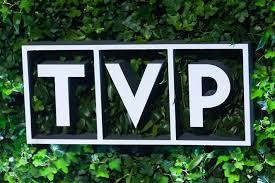Nowe logo jest minimalistyczne i eleganckie, a oprawa dynamiczna i nowoczesna. Tvp Euro 2020 Z Czterema Wariantami Komentarza W Tym Po Angielsku Czy Dostaniemy Taka Opcje W Telewizji Na Kanale 4k