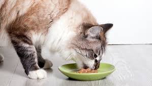 The treats can be heart shaped or fish shaped. 5 Do It Yourself Thanksgiving Cat Treat Recipes Cattime
