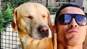 Meerdere foto's zetten voetballer memphis depay op zijn instagram, waarop hij poseerde met een lijger. Images Of Famous Footballers With Their Dogs