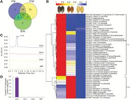 Plug these values into the infinite sum formula: The C S A Gene System Regulates Hull Pigmentation And Reveals Evolution Of Anthocyanin Biosynthesis Pathway In Rice Abstract Europe Pmc
