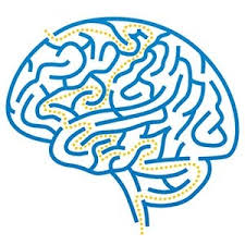 Rated 4.9/5 based on 680 reviews. Brain Games Help Memory In Seniors Memory Foundation And Igea Youtube