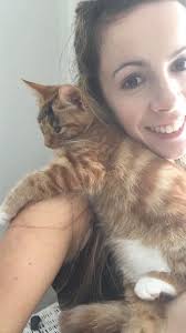 Why is my cat eating the blinds in my new home?