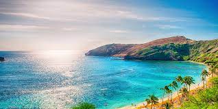 Where to stay in hawaii: Why 2019 Is The Year To Visit Hawaii