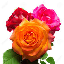 Check spelling or type a new query. Bouquet Of Beautiful Flowers Of Red Orange And Pink Color Wedding Card Summer Spring Flat Lay Top View Love Valentine S Day Easter Stock Photo Picture And Royalty Free Image Image 94445243