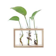 Pin On Outdoors Gardening Decor