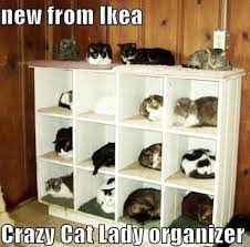 Boa Ideia Para Ter Os Seus Gatos Organizados Gosta Da Ideia Veja Mais Em Http Www Comofazer Org Crazy Cats Ikea Cat Crazy Cat Lady