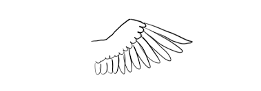 Also, find more png about free simple wings trace png. Sketchbook Original How To Draw Wings Monika Zagrobelna