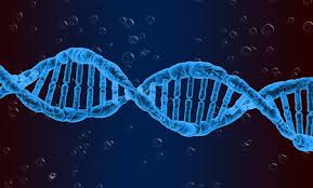 Nous sommes un site de streaming de mangas légal : El Adn Ya Se Puede Recuperar Del Aire Los Malos Van A Tenerlo Mas Dificil Despues De Cometer Una Fechoria Y Los Forenses Mas Facil