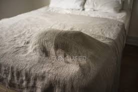 Was in der natur passiert, wenn wir im bett liegen. Katze Schlaft Unter Decke Auf Bett Tiere Verstecken Stock Photo 357923522