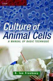 Animal cell culture book freshney pdf free download. Book Culture Of Animal Cells By R Ian Freshney Download Pdf Epub Fb2