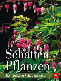 Die markise findet sich in fast jedem garten, weil sie auf wunsch schatten spenden kann und genauso schnell wieder eingefahren ist. Schattenpflanzen Romantische Platze Gestalten Waechter Dorothee Amazon De Bucher
