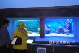 Proses yang pertama yaitu pertukaran o2 dari udara dalam alveolus dengan co2 dalam kapiler darah yang disebut dengan selamat belajar, semoga materi proses pertukaran oksigen dan karbondioksida diatas dapat dipahami dengan mudah. Bagaimana Hewan Bernafas Dalam Air Republika Online