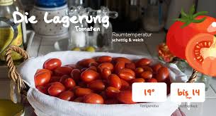 Liste mit sämtlichen komplexen kohlenhydraten tabelle mit allen nährwerten jetzt abnehmen trotz kohlenhydrate! Die Tomate Essen Ohne Kohlenhydrate