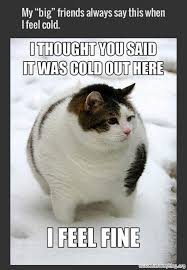 Maybe you would like to learn more about one of these? Super Hilarious Cat Quotes Quotesgram