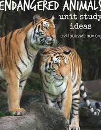 Endangered Animal Unit Study You Can Find A Complete List Of The Endangered An In 2020 Endangered Species Lessons Endangered Animals Lessons Endangered Animals Project