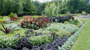 At Nearly 34 Feet Tall Garfield Park S Agave Plant Is Through The Roof Chicago News Wttw