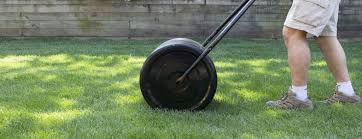 Maybe you would like to learn more about one of these? Lawn Roller Alternatives Diy Lawn Rollers Other Ways Grass Lawns Care