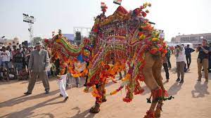Prior to the mid 15th century, the region that is now bikaner was a barren wilderness international camel festival is held every year in january. Bikaner Camel Festival 2021 Dates Schedule History