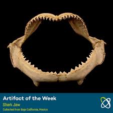 Can A Young Teen'S Recessed Chin Grow Back To Normal? - Quora