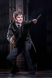 Harry Potter And The Cursed Child 22 Magical Photos Harry Potter Cursed Child Cursed Child Harry Potter Books