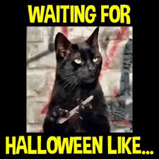 Scarecrow Gif By Spirit Halloween Find Share On Giphy Halloween Memes Funny Halloween Memes Halloween Stories