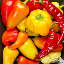 A freezer stash of frozen peppers opens the door to delicious fast meals. Ways To Preserve Peppers