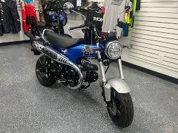 Image result for Vivid Black 1994 FLSTF