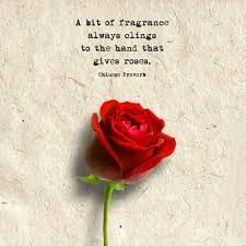 Mindfuel Thinking On Twitter Blumen Spruch Rosen Zitate Disney Zitate