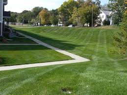 Serving durham and the surrounding area. Lawn Yard Care Program For Ankeny Des Moines Area Sutterlawns Com