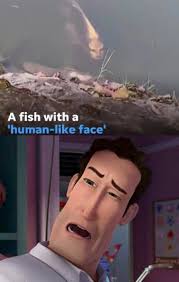 I ain't even know homeslice had a bun in the oven! What In The Hot Crispy Kentucky Fried Frick Memes