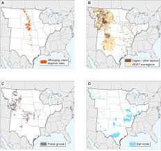 Rvsb's core business is in the construction industry as well as oil and gas. Site Wind Right Identifying Low Impact Wind Development Areas In The Central United States Biorxiv