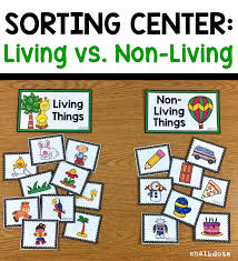 Living Vs Non Living Sorting Cards Circle Time Activities Preschool Small Group Kindergarten Science